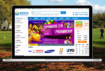 ��ʲ�����